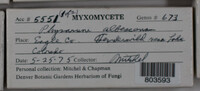 Image Associated With the Occurence
